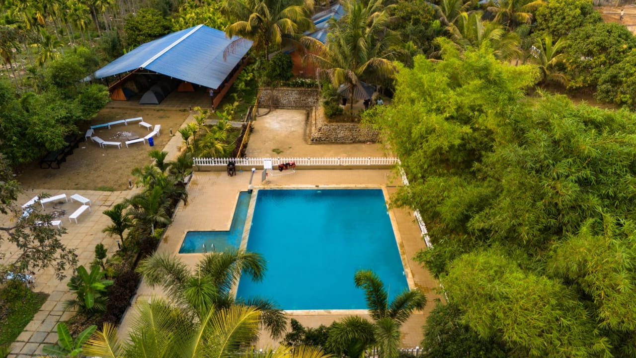 Jungle Adventure Activities